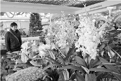 ���ݣ��G�ǻ�������� �辰���ߙn�m������m(x��)����