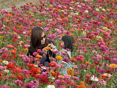 2009���x�л����� ���_�����F������