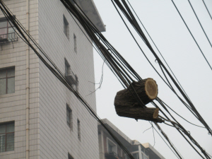 �m�ݣ�䏘䲻���� ��ɑ���·�Ͽ�