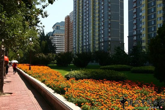 �c��ɽ���ֽ��R���ς�(c��)�G�������ͷNֲ����