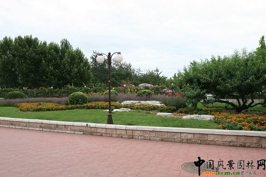 ��Ȫ·���F�ςȾG�ؽY�ϵ��Ρ���ʯ��ֲ����