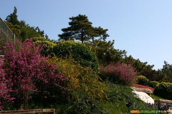 �ǻ���ɽ�w�G�ػ��ܷNֲͻ��ɽҰ���