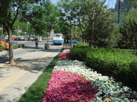 �����hʾ���ε�·�G�����ι���