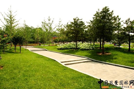 �@�ȵ�·���^