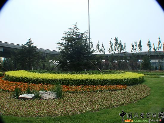 ����ɫ���M��