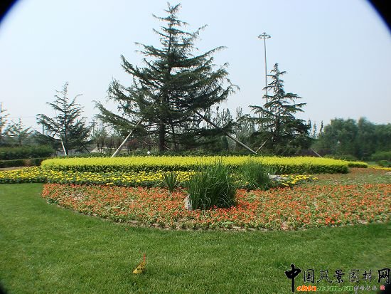 ����ɫ���h��ѩ��