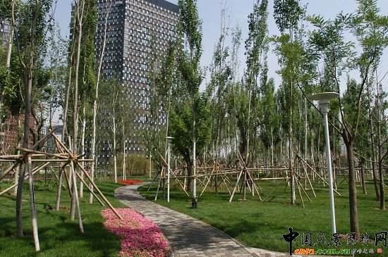 ���(sh��)��(sh��)�