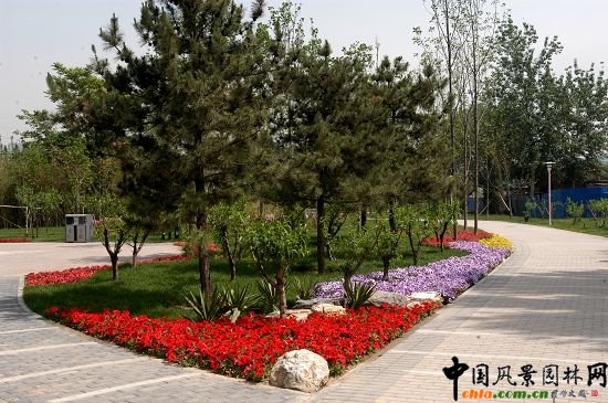 ���F�\��