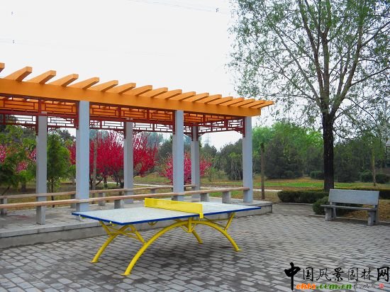 �����˻������