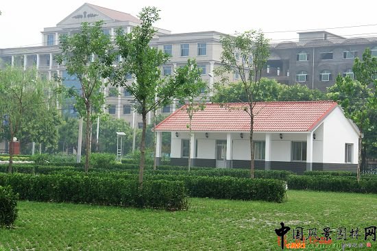 ���G�aͣ܇��