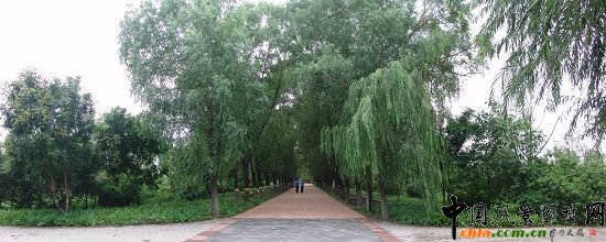 ������ϱ����a·