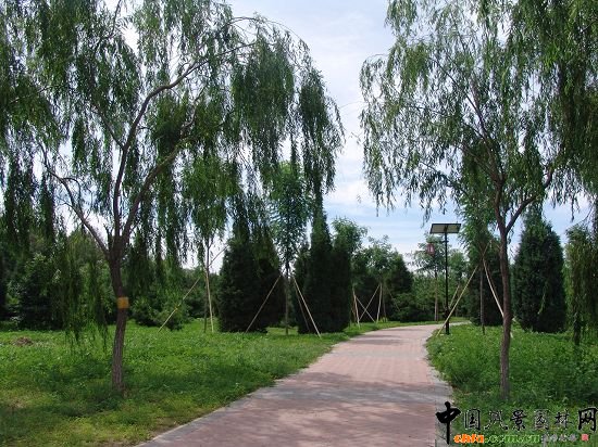 ֲ���^�p�^(q��)