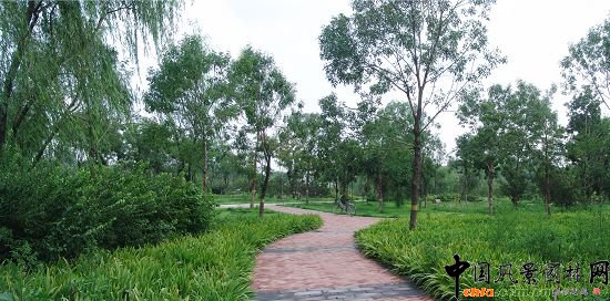 �����@·ֲ�ﾰ�^