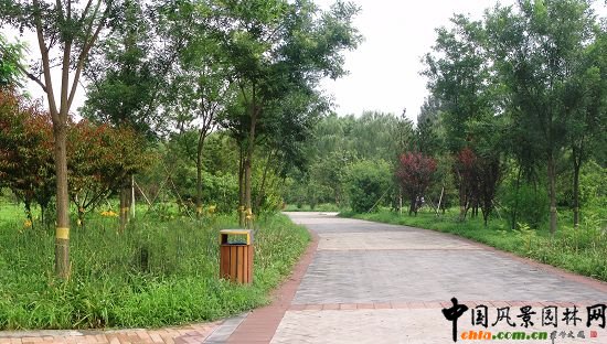 һ���@·ֲ�ﾰ�^