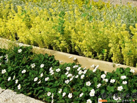 �ձ�˽��ͥԺ