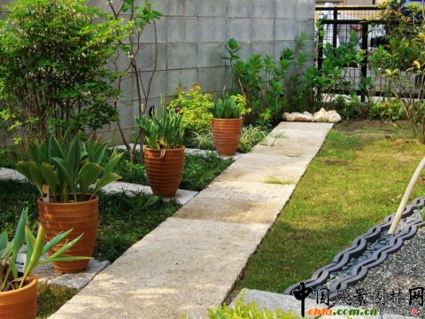 �ձ�˽��ͥԺ