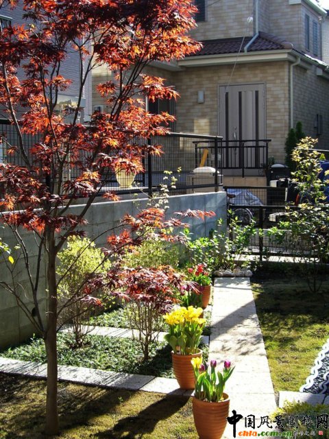 �ձ�˽��ͥԺ