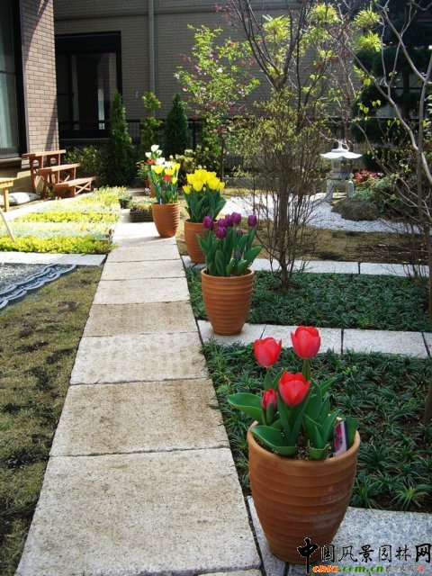 �ձ�˽��ͥԺ