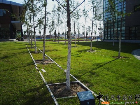 ��ꖺ����³ǡ�����ӳ�G�����^�O(sh��)Ӌ(j��)