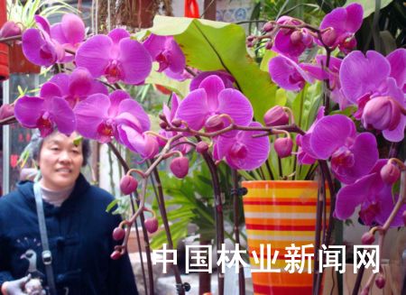 �K�ݣ�ʥ�Q��(ji��)�������R�� �����r�����N