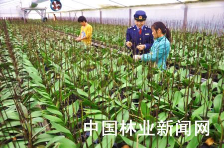 ���K�����r(n��ng)���ÿƼ�������(ji��)�ջ��ܓ�ռ�Ј�