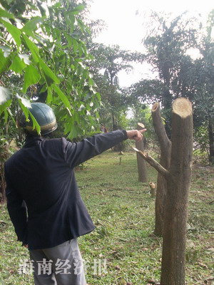 �����Ę�ľ��δ�ɲ�