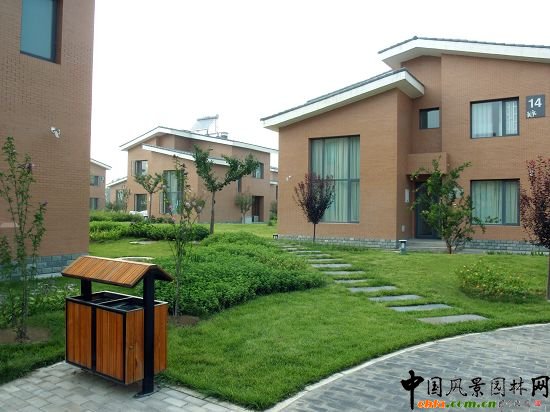 ��ͯ����g͡����ƺЧ���D