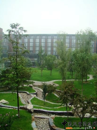 �������۵�Ϫ���cֲ������ĽY��