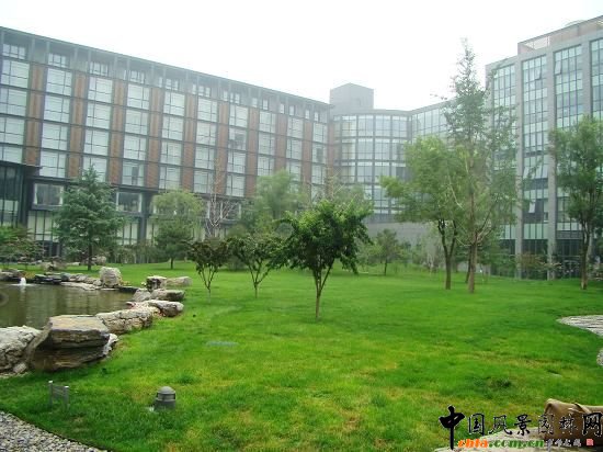 ����z�Ĳ������g������