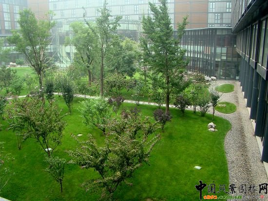 ͥ����������G�~�l�A��