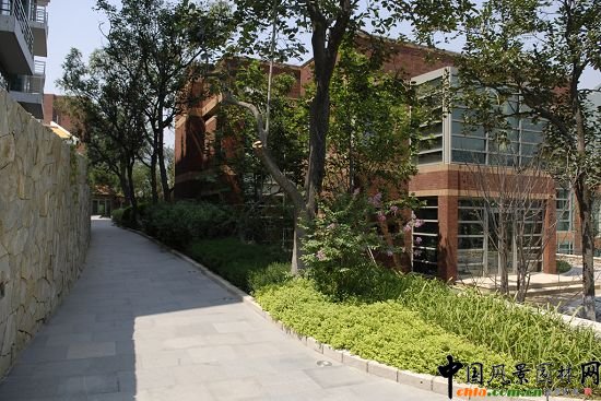 ��ƴ������Ȼ���^ �G�aС·���o����