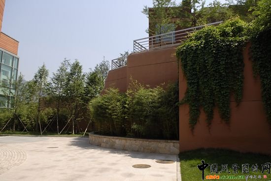 �̡���ľ�c����ֲ���c�Y�������≦