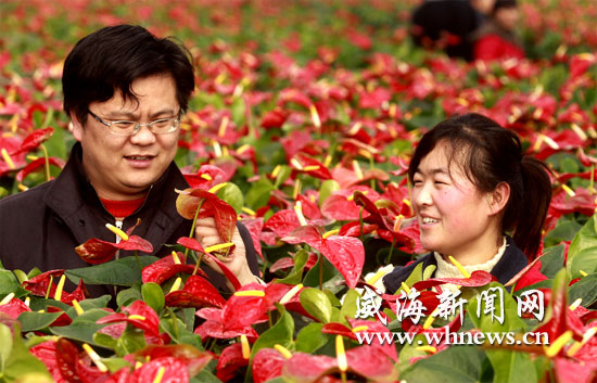 �������S������ĵ��� �Ѕ^�����Ј������