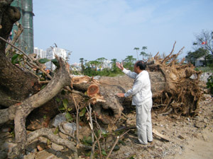 ���ڣ�һ�ٶ���Ř� ��ô�f�ھ���