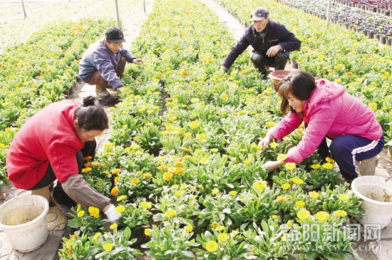 �@��̎��(zh��n)�����f�����r��ӭ������ĵ���