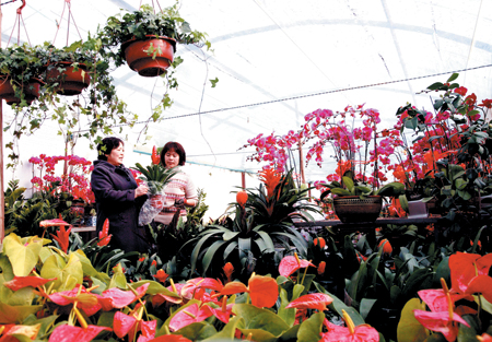 ��ɽ�����̼҂����˻��� ӭ���R����Ԫ��