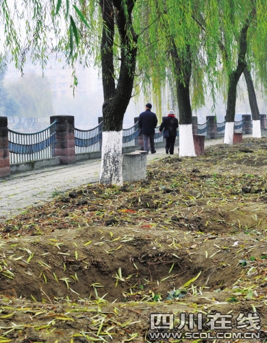 ��ľ����ֻʣ����