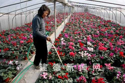 �㽭�����������r��ӭ�ѹ����D��