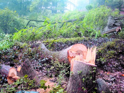 �@Щ����С�����䱻�����������X��ͦ��ϧ��