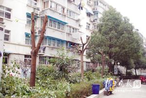 ���K��С�^(q��)20��������䱻���^ �����J(r��n)����ס�ɹ�