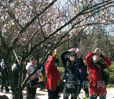 ����������?zh��)����@27�Ռ��_��ӭ��÷��չ��