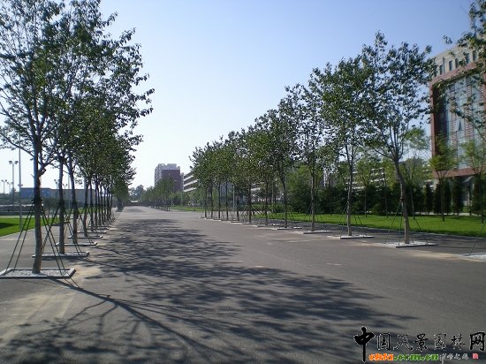 �μ���·�ɂ�