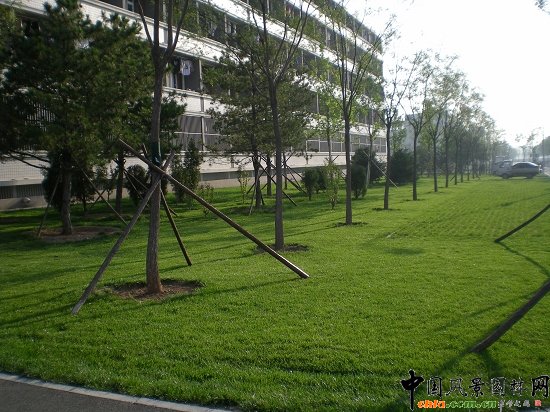 ���ľ��^�^