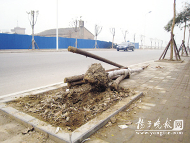 �P(y��ng)�ݣ����ԺõĘ�һ���͵� �����Ԙ��̫��ؓ(f��)؟(z��)