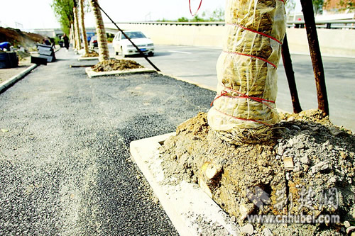 �o����(sh��)Ѩ�Ę�(sh��)�����г���