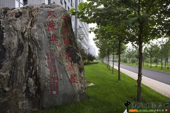 �I(l��ng)��(d��o)�}�~