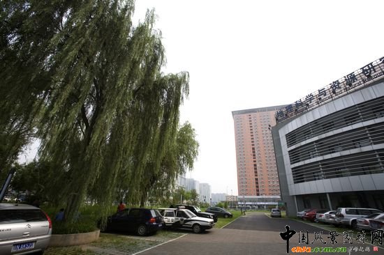 �����ƌW�c�YԴ�о���