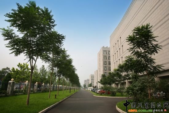 �Ї��ƌWԺ�����о�����