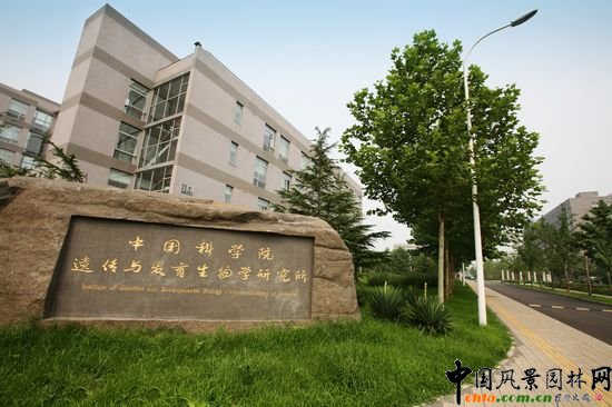 �Ї��ƌW(xu��)Ժ�z���c�l(f��)������W(xu��)�о���