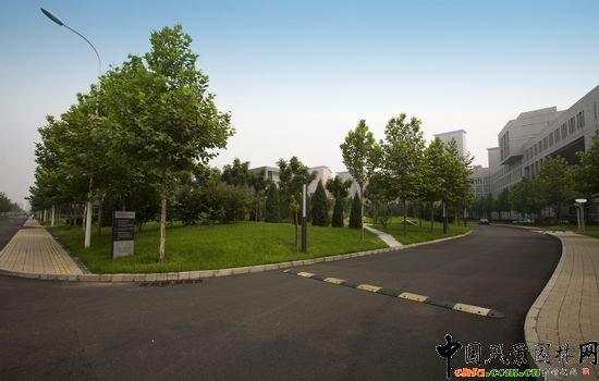 ���S·�����ľG����